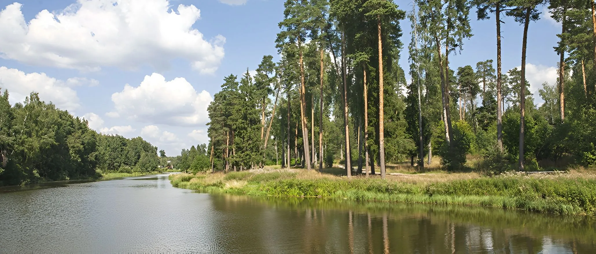 Bosque de Navios&nbsp;1