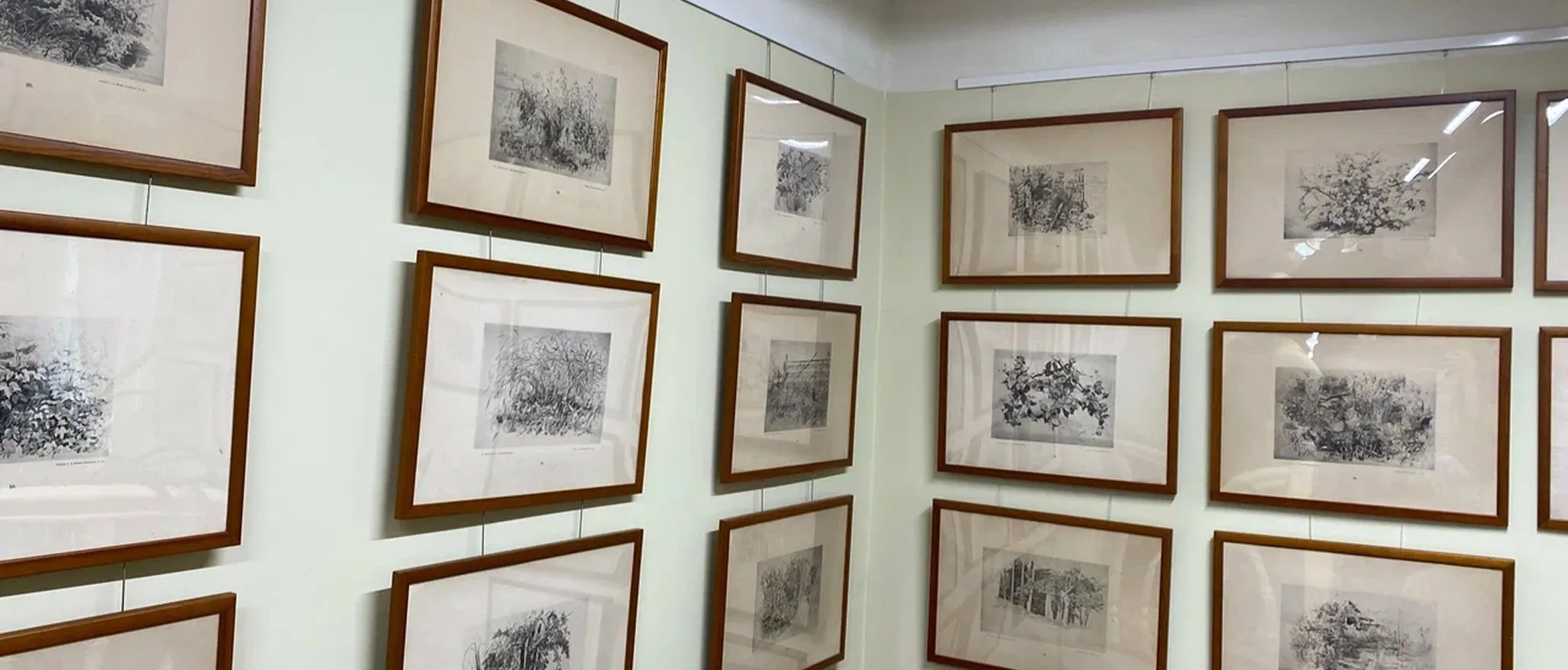 Casa-Museu de I.I. Shishkin&nbsp;5