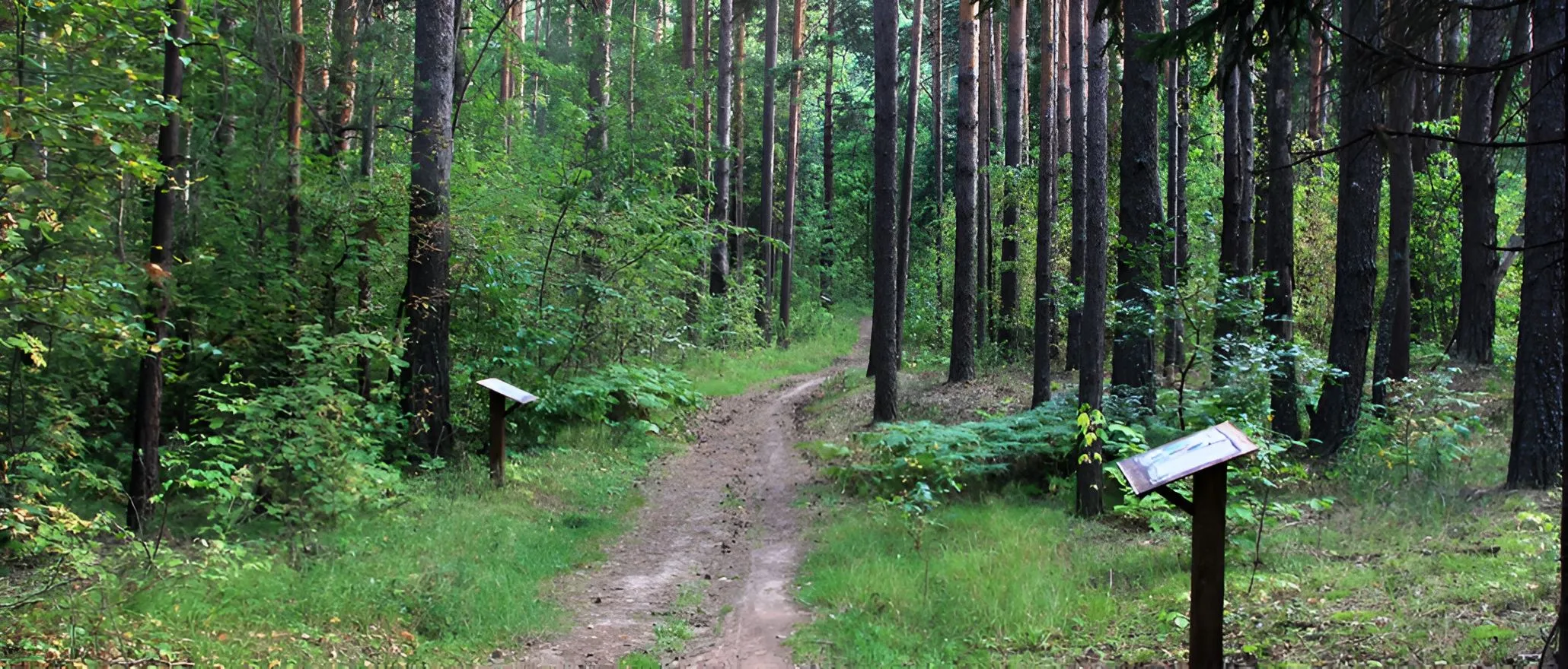 Bosque de Navios&nbsp;4
